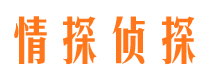 临城市婚外情调查